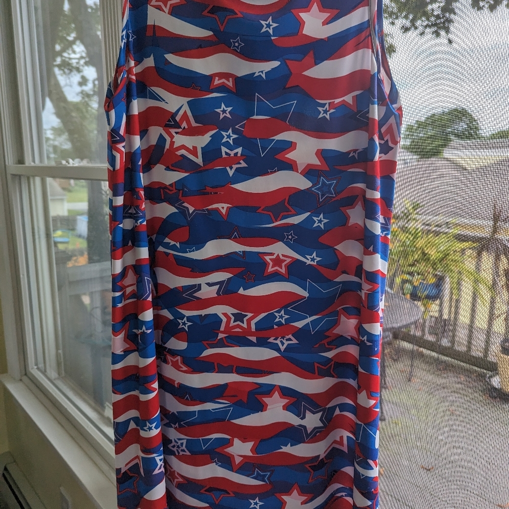 Dress works size medium patriotic dress